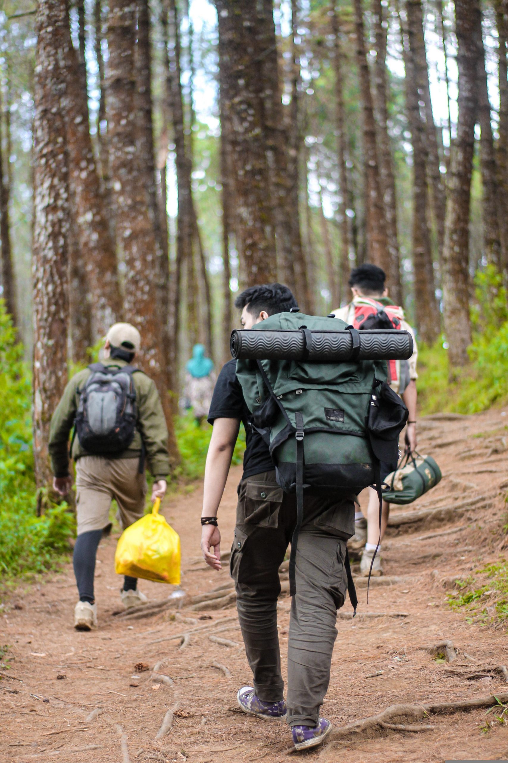 Hikers 6613897 Scaled